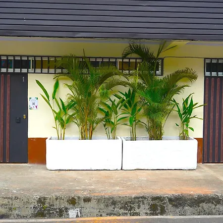 Tropical Twins Apartment Quepos Exterior photo