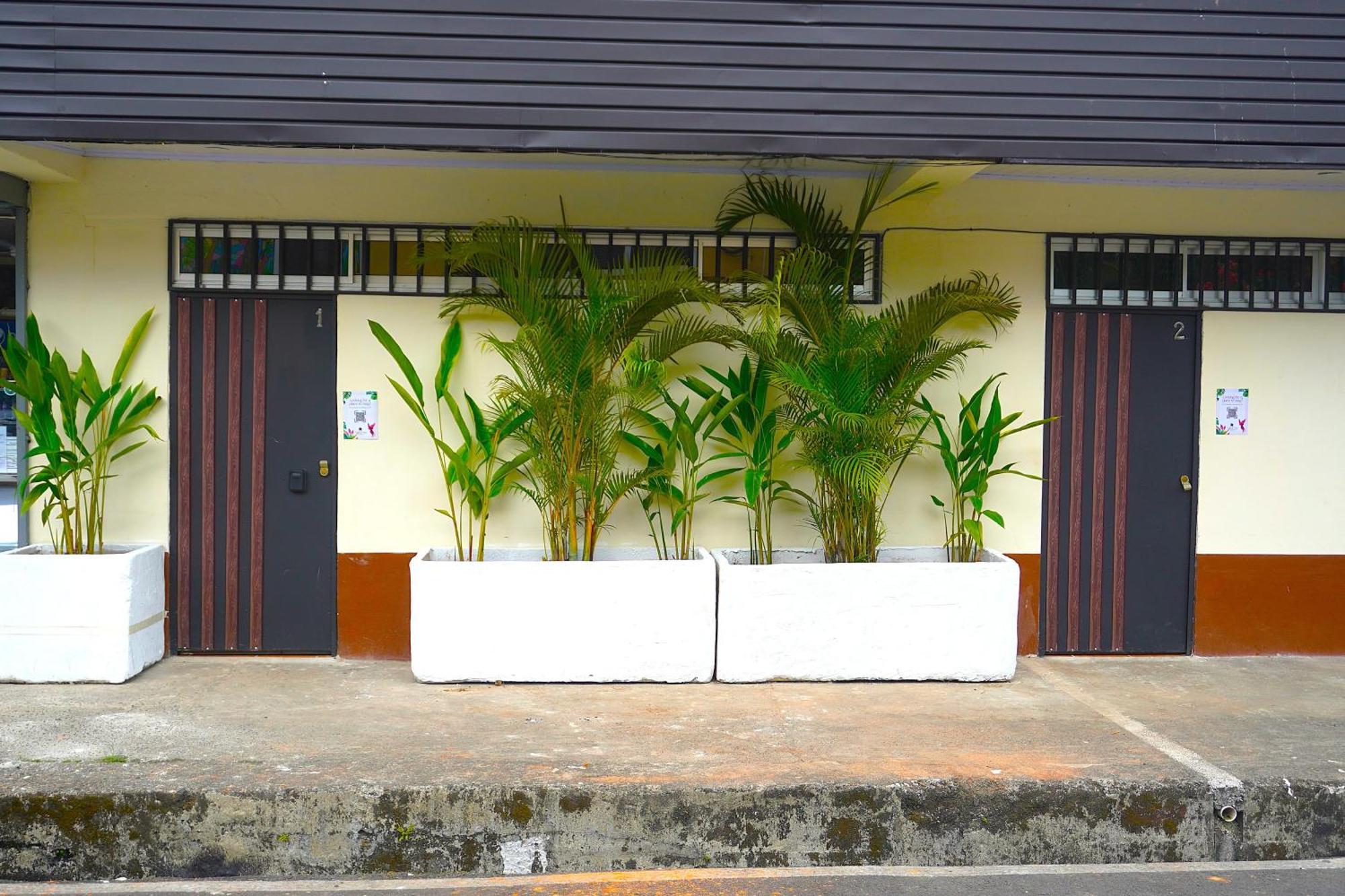 Tropical Twins Apartment Quepos